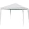 Impact Canopy 10 FT x 10 FT  O FT Reilly Skirt Leg Canopy, with Carry Bag, White 040110001 - alternate 1
